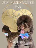 processed/5db0f638-b85e-4c49-88c9-6c0c977a64ae/facility/5b485f49-9d2e-459d-81fe-be7a41f973fe