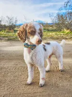 processed/5db0f638-b85e-4c49-88c9-6c0c977a64ae/facility/9f3f7a2a-f7d2-4fe0-85ec-1396293d0d2d