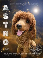 processed/5db0f638-b85e-4c49-88c9-6c0c977a64ae/facility/c429dbac-d0af-44d6-8f88-991a7f8013ed