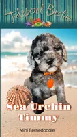 Sea Urchin Timmy (blue eye), a male Miniature Bernedoodle for sale in Redlands, CA – 4 of 10