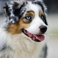 processed/5db61ef6-614c-42dd-8770-fb0b3c7c2daf/facility/96493ca3-f728-4c27-899d-53355e27c3e6