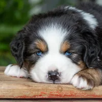 processed/5db61ef6-614c-42dd-8770-fb0b3c7c2daf/facility/99038bea-6615-443b-9492-b13d5da64d6b