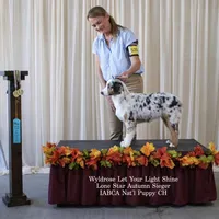 processed/5db61ef6-614c-42dd-8770-fb0b3c7c2daf/facility/b756d92f-bb80-404e-8006-567dcb8430f9