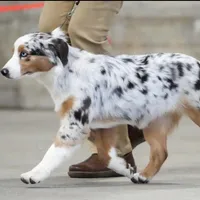 processed/5db61ef6-614c-42dd-8770-fb0b3c7c2daf/facility/f54e0754-f416-4af4-b527-4a5dfc685409