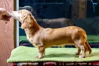 processed/5db61ef6-614c-42dd-8770-fb0b3c7c2daf/listing/7f02308a-eed2-4c42-902b-79acd2f70c0f/2aa249c1-0979-4f7f-9f92-fe5167a27016