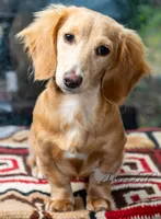 processed/5db61ef6-614c-42dd-8770-fb0b3c7c2daf/listing/7f02308a-eed2-4c42-902b-79acd2f70c0f/a8b2292b-82a1-490a-8713-908324553c18