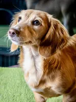 processed/5db61ef6-614c-42dd-8770-fb0b3c7c2daf/listing/7f02308a-eed2-4c42-902b-79acd2f70c0f/e22890cb-2f27-4ff6-bda7-fbb47dd47110