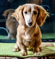 processed/5db61ef6-614c-42dd-8770-fb0b3c7c2daf/listing/7f02308a-eed2-4c42-902b-79acd2f70c0f/e8c9dcd9-c84a-4738-9d52-51c223c1bace