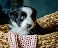 processed/5db61ef6-614c-42dd-8770-fb0b3c7c2daf/listing/d0d769eb-fd4e-413b-b56f-2941a10e8ff7/2928cdb4-3873-4905-b94d-c9971a35becb