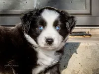 processed/5db61ef6-614c-42dd-8770-fb0b3c7c2daf/listing/d0d769eb-fd4e-413b-b56f-2941a10e8ff7/65e395db-1ee3-46bb-bda3-0d7fe0c1554a