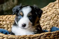 processed/5db61ef6-614c-42dd-8770-fb0b3c7c2daf/listing/dd1f5752-c967-4117-8bfc-bd3700f1b513/f29b8ec8-9beb-412f-a2ad-e287586d50f9