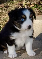 processed/5db61ef6-614c-42dd-8770-fb0b3c7c2daf/listing/dd1f5752-c967-4117-8bfc-bd3700f1b513/fe837aad-2b40-4a18-b4d9-d9c6ba3a4c38