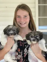 processed/5dbcc89b-9200-4c12-8eb2-475863b7d355/facility/0f6f69b6-d5b8-4ce2-ad13-ae6927b93bb1