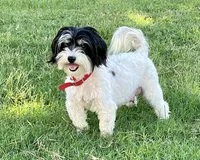 processed/5dbcc89b-9200-4c12-8eb2-475863b7d355/facility/1aa486eb-4d2e-4237-9552-e56c2e0cf885