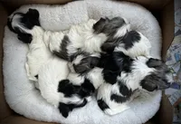 processed/5dbcc89b-9200-4c12-8eb2-475863b7d355/facility/7eb5ca6d-d27d-4ca8-a3f1-095aebf6619a