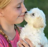 processed/5dbcc89b-9200-4c12-8eb2-475863b7d355/facility/98ec8928-a9cb-4c79-be95-6d3cbfdd74c1