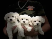 processed/5dbcc89b-9200-4c12-8eb2-475863b7d355/facility/ac436642-17ce-4e63-8900-230c3216a744