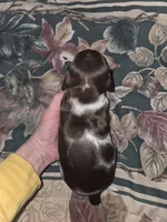 processed/5dd490bf-5252-45b5-a1cd-18017cf75f21/listing/26f8f9ad-6b4e-4ba5-8543-3a6ae9e433d4/5ead5816-2b7b-44cc-93d4-4b2cd4029136