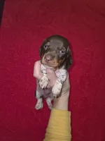 processed/5dd490bf-5252-45b5-a1cd-18017cf75f21/listing/26f8f9ad-6b4e-4ba5-8543-3a6ae9e433d4/68e03d1c-de88-4cf7-a76b-6798b81e48ae