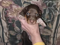 processed/5dd490bf-5252-45b5-a1cd-18017cf75f21/listing/26f8f9ad-6b4e-4ba5-8543-3a6ae9e433d4/9fa51fb3-192a-4c46-911f-ed8d899a32eb