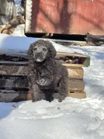 processed/5dd490bf-5252-45b5-a1cd-18017cf75f21/listing/3fe3a24d-899f-4704-9782-84ce77c776f7/06a047c4-498c-41b2-acca-f2e7d12f5696