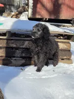 processed/5dd490bf-5252-45b5-a1cd-18017cf75f21/listing/3fe3a24d-899f-4704-9782-84ce77c776f7/80f483c4-ac71-44ec-bc24-28df54f06782