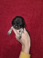 processed/5dd490bf-5252-45b5-a1cd-18017cf75f21/listing/5e6fb501-abb3-4fe4-a2a7-10bfba69641c/622f792a-ca22-4aef-9230-de841a1df305