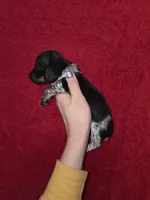 processed/5dd490bf-5252-45b5-a1cd-18017cf75f21/listing/5e6fb501-abb3-4fe4-a2a7-10bfba69641c/ebaa04ae-8255-4f3c-a774-c6bee9f20b7b