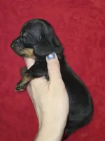 processed/5dd490bf-5252-45b5-a1cd-18017cf75f21/listing/6b2f3fd0-2ec2-464a-a167-0d9c0bc4ac7f/811ce089-daae-41bd-bc09-28b114a765c3