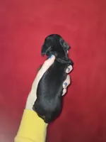 processed/5dd490bf-5252-45b5-a1cd-18017cf75f21/listing/6b2f3fd0-2ec2-464a-a167-0d9c0bc4ac7f/bcb738fe-ecde-4a4d-979f-d13defdd4c23