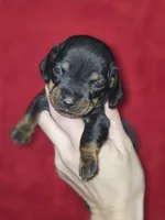 processed/5dd490bf-5252-45b5-a1cd-18017cf75f21/listing/6b2f3fd0-2ec2-464a-a167-0d9c0bc4ac7f/fca429e9-29d5-4ca1-9f17-456d304c547a