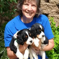 processed/5deb8826-2833-4361-bc29-437c1bdda5d3/facility/c0e8c919-1443-464c-9a49-97d1364c2dee