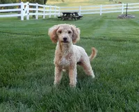 processed/5def0fb0-349c-4941-99be-c4fbe10c9378/facility/d880908f-c7d0-45dc-97f6-fc5987cd7609