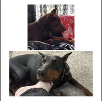 processed/5df20d60-7c76-4a12-af45-408d410d937f/facility/1ad9449d-0a5a-4ac2-8a21-8af770d308ff