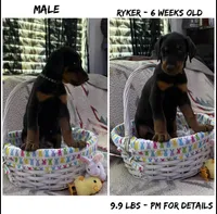 processed/5df20d60-7c76-4a12-af45-408d410d937f/facility/a40299b4-9a63-4c44-99fc-62ef292a5891