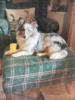 processed/5df35e9f-7163-4a2e-ae34-d16b82b4f3da/facility/55c92066-dc8e-4d94-a7c6-246a7ed7113f