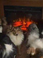 processed/5df35e9f-7163-4a2e-ae34-d16b82b4f3da/facility/9a27ccb2-e096-4fa0-96c5-6a51b447ef87