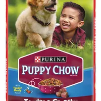 Tri Boy, a male Shetland Sheepdog for sale in Grantsburg, WI – Photo 2 of 8