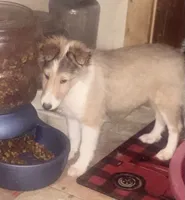 processed/5df35e9f-7163-4a2e-ae34-d16b82b4f3da/listing/28ff3adf-5f8d-4f64-8036-91b8e6c8098c/d5a12f91-a78d-4dc1-baad-975ee67496a4