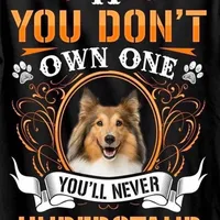 Tri Boy, a male Shetland Sheepdog for sale in Grantsburg, WI – Photo 8 of 8