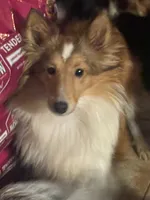 processed/5df35e9f-7163-4a2e-ae34-d16b82b4f3da/listing/2bf84324-ed81-4727-920d-ec0811c3a77b/39ba955d-bd1d-4465-bfcd-3dc15cf31de4