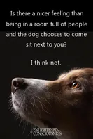 processed/5df35e9f-7163-4a2e-ae34-d16b82b4f3da/listing/2bf84324-ed81-4727-920d-ec0811c3a77b/61ff3495-ed28-459f-9b30-fee9ba3068cd