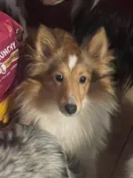 processed/5df35e9f-7163-4a2e-ae34-d16b82b4f3da/listing/2bf84324-ed81-4727-920d-ec0811c3a77b/90ed16c5-5671-4389-842b-4592b33e5b44