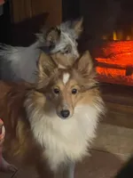 processed/5df35e9f-7163-4a2e-ae34-d16b82b4f3da/listing/2bf84324-ed81-4727-920d-ec0811c3a77b/fccee368-033c-4ba0-90c5-de5681bcefb0