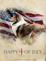 Lady, a female Shetland Sheepdog for sale in Grantsburg, WI – Photo 7 of 9