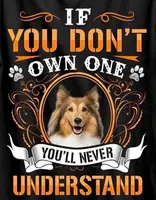 Sable girls, a female Shetland Sheepdog for sale in Grantsburg, WI – Photo 5 of 7