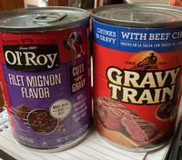 Honey II, a female Shetland Sheepdog for sale in Grantsburg, WI – Photo 5 of 8