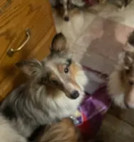 processed/5df35e9f-7163-4a2e-ae34-d16b82b4f3da/listing/ac0a9eb6-6280-419e-a326-aa7ecb2af397/b8b2eeb9-6860-412d-b31b-93cfdfd2fc6d