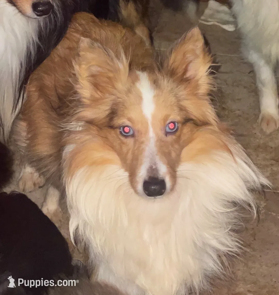 processed/5df35e9f-7163-4a2e-ae34-d16b82b4f3da/listing/cc6b1268-c708-4410-b0c3-f20d51860705/0c433876-0656-49d4-8611-4bc499aba350