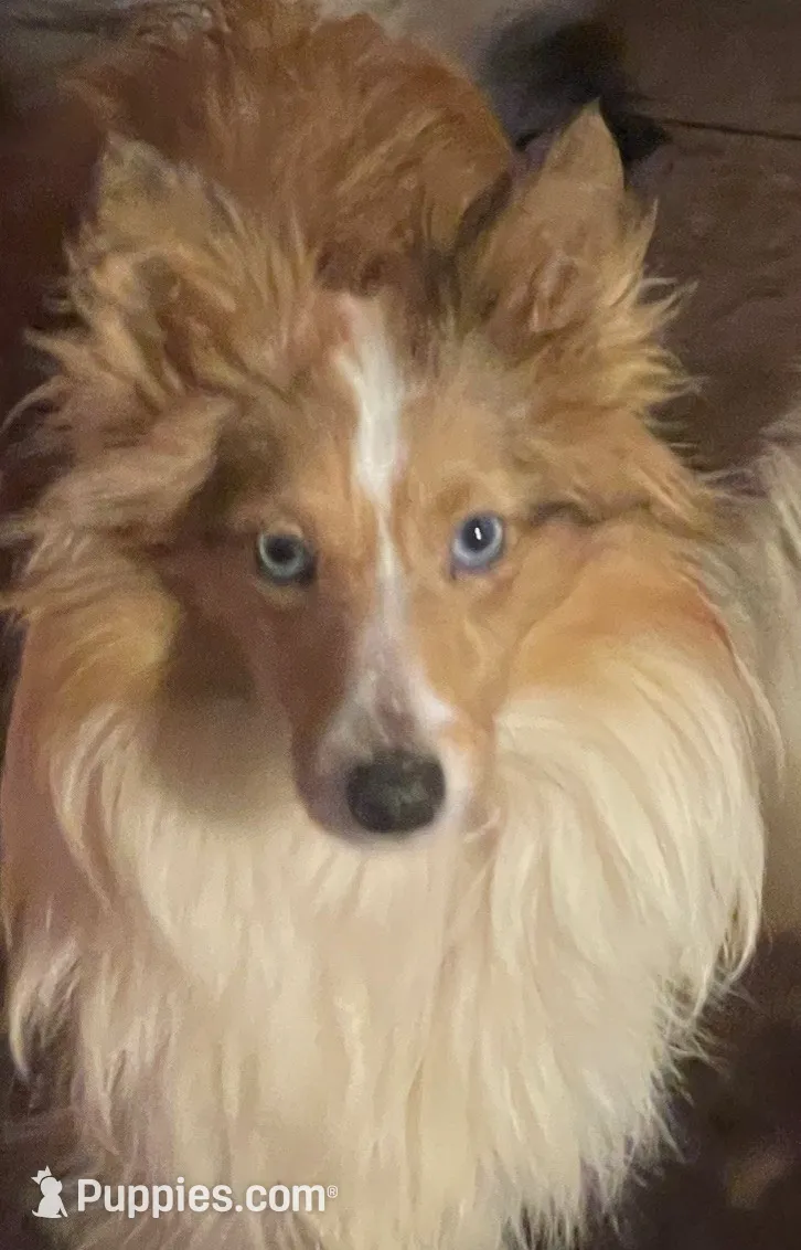 processed/5df35e9f-7163-4a2e-ae34-d16b82b4f3da/listing/cc6b1268-c708-4410-b0c3-f20d51860705/93403447-c7d6-4909-bfec-d325903022d9